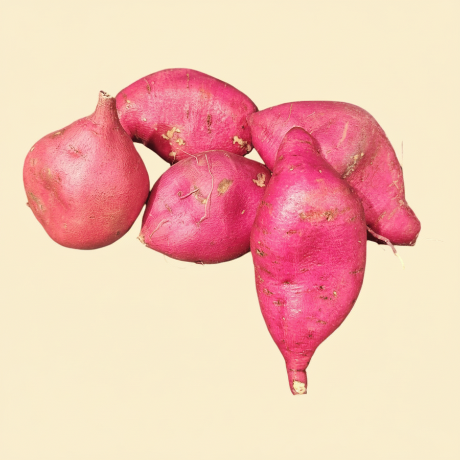 Sweet Potato 1 LB