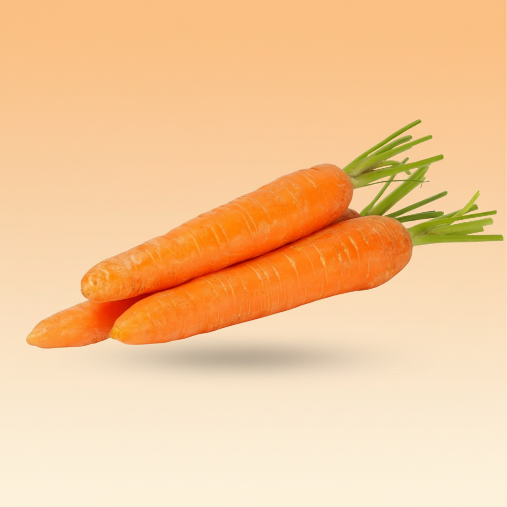Jumbo Carrot 2 ct