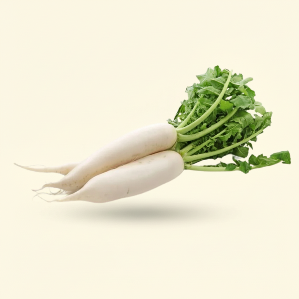 Chinese Radish 1.5 to 2 Lb