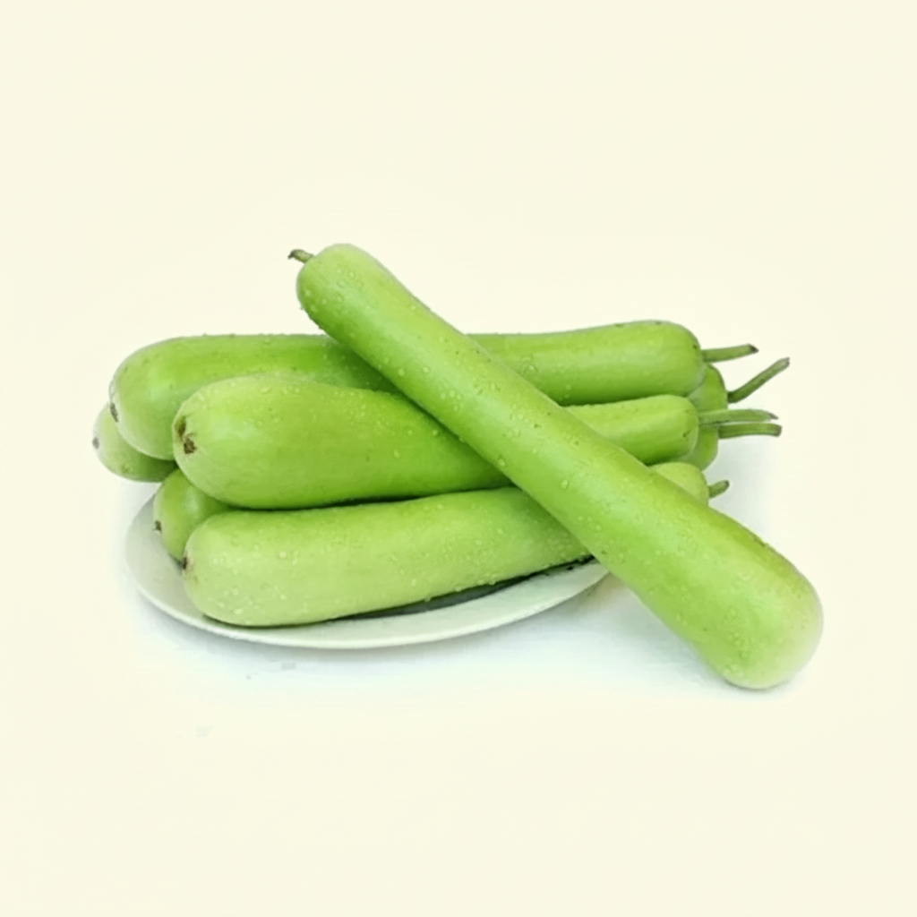 Indian Bottle Gourd (Dudhi) 1 to 1.5 Lb