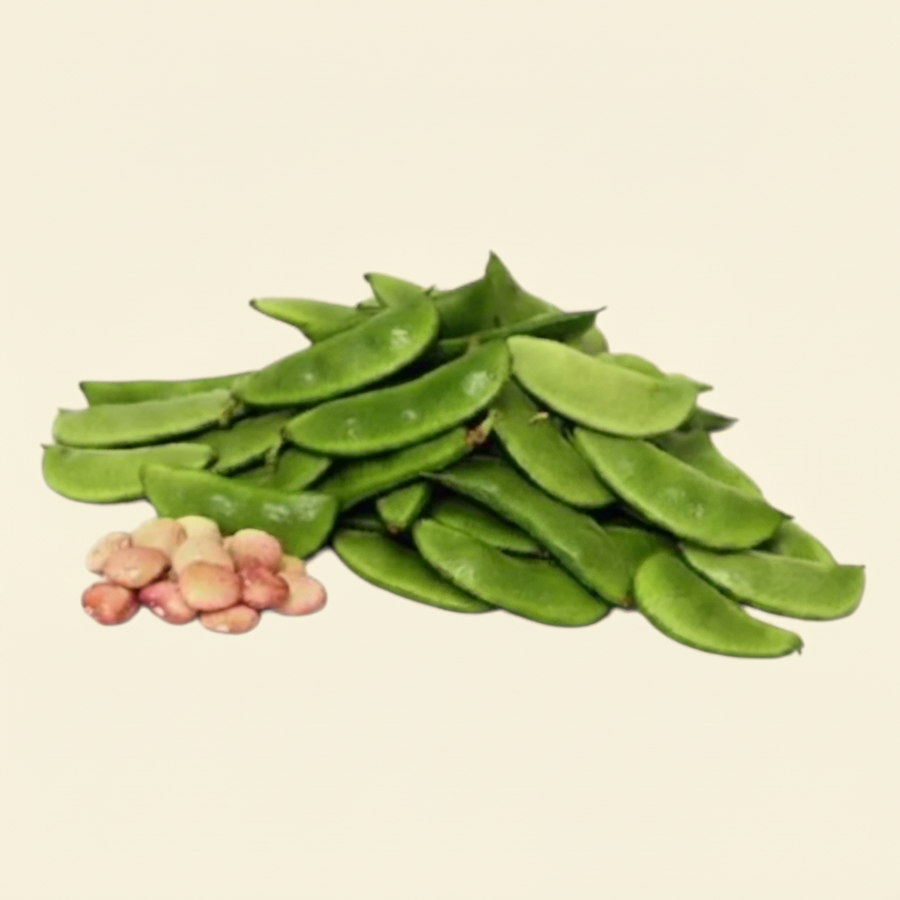 Hyacinth Bean /Desi Papdi 1 Lb