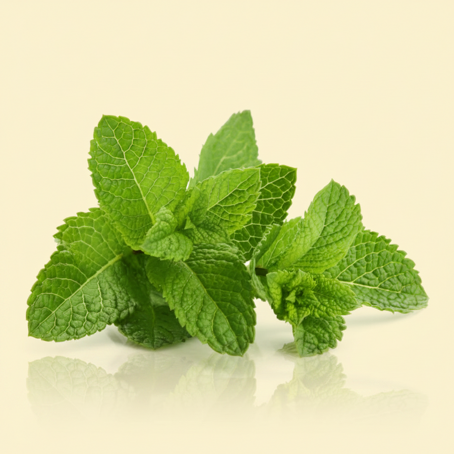 Mint Leaves 1 Bunch