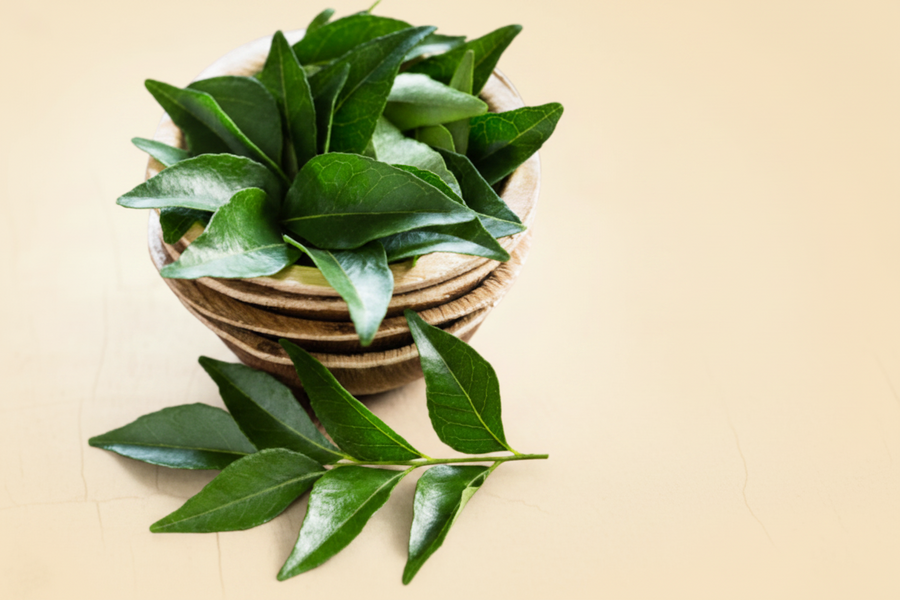 Curry Leaves
