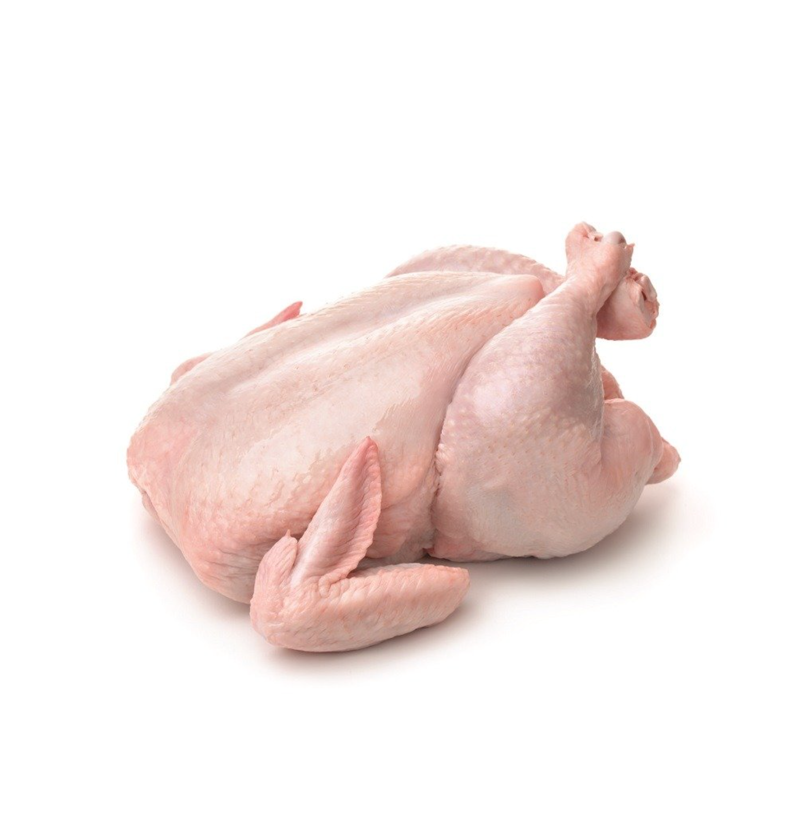 Halal Whole Chicken 10 Head per lb